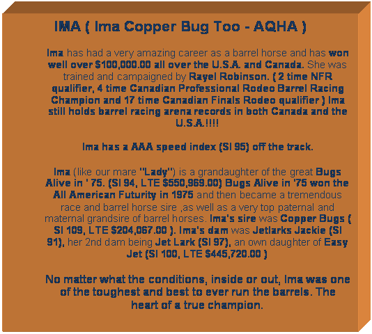 Text Box: IMA ( Ima Copper Bug Too - AQHA )
Ima has had a very amazing career as a barrel horse and has won well over $100,000.00 all over the U.S.A. and Canada. She was trained and campaigned by Rayel Robinson. ( 2 time NFR qualifier, 4 time Canadian Professional Rodeo Barrel Racing Champion and 17 time Canadian Finals Rodeo qualifier ) Ima still holds barrel racing arena records in both Canada and the U.S.A.!!!!

Ima has a AAA speed index (SI 95) off the track.
Ima (like our mare "Lady") is a grandaughter of the great Bugs Alive in ' 75. (SI 94, LTE $550,969.00) Bugs Alive in '75 won the All American Futurity in 1975 and then became a tremendous race and barrel horse sire ,as well as a very top paternal and maternal grandsire of barrel horses. Ima's sire was Copper Bugs ( SI 109, LTE $204,067.00 ). Ima's dam was Jetlarks Jackie (SI 91), her 2nd dam being Jet Lark (SI 97), an own daughter of Easy Jet (SI 100, LTE $445,720.00 )

No matter what the conditions, inside or out, Ima was one of the toughest and best to ever run the barrels. The heart of a true champion.

